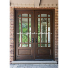 Diseño de la India de estilo tradicional Diseño de la puerta de madera de Malasia con vidrio para Villa